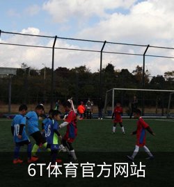 成功案例