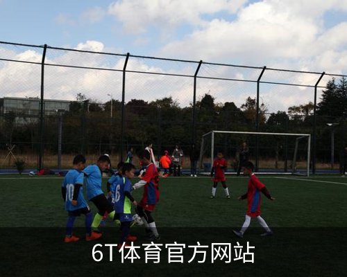 6T体育官方网站体育的故事 